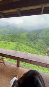 有钱就是好呢可以在景区为所欲为